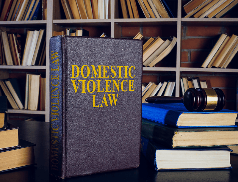 Domestic Violence Law book with gavel.